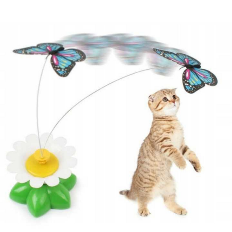 Butterfly Cat Teaser™